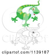 Poster, Art Print Of Cute Green And Black And White Baby Gecko