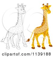 Poster, Art Print Of Cute Colored And Black And White Giraffe