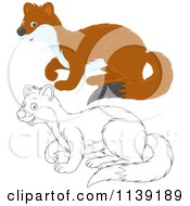 Cartoon Of A Cute Brown And Black And White Weasel Royalty Free Vector Clipart by Alex Bannykh
