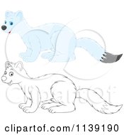 Cartoon Of A Cute Colored And Black And White Weasel Royalty Free Vector Clipart