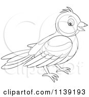 Cartoon Of A Cute Black And White Bird Vector Clipart