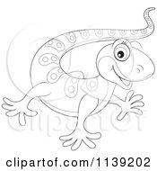 Poster, Art Print Of Cute Black And White Baby Gecko