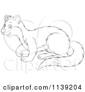 Poster, Art Print Of Cute Black And White Weasel