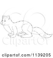 Poster, Art Print Of Cute Black And White Weasel 2