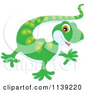 Cute Green Baby Gecko