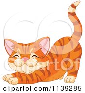 Cute Ginger Cat Stretching
