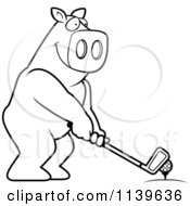 Poster, Art Print Of Black And White Golfing Pig Holding The Club Against The Ball On The Tee