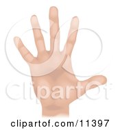 Human Hand And Fingers Clipart Illustration by Geo Images