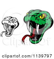 Poster, Art Print Of Biting Black And White And Green Viper Snakes