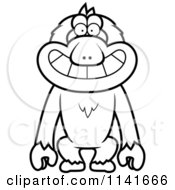 Black And White Grinning Macaque Monkey