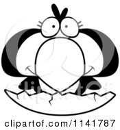 Cartoon Clipart Of A Black And White Penguin Chick Hatching From An Egg Vector Outlined Coloring Page