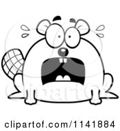 Poster, Art Print Of Black And White Scared Chubby Beaver