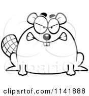 Black And White Mad Chubby Beaver