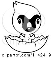 Cartoon Clipart Of A Black And White Cute Baby Cardinal Chick Hatching Vector Outlined Coloring Page