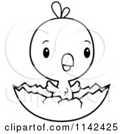 Poster, Art Print Of Black And White Cute Baby Chick Hatching