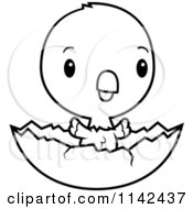 Cartoon Clipart Of A Black And White Cute Baby Parrot In An Egg Shell Vector Outlined Coloring Page