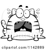Poster, Art Print Of Black And White Chubby Scared Tabby Cat