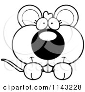 Poster, Art Print Of Black And White Cute Mouse Looking Over A Surface