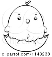 Poster, Art Print Of Black And White Chubby Chicken Chick On A Shell