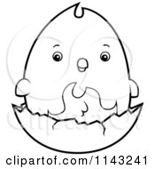Cartoon Clipart Of A Black And White Chubby Phoenix Chick On A Shell Vector Outlined Coloring Page