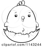 Poster, Art Print Of Black And White Chubby Rooster Chick On A Shell