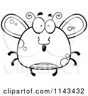 Poster, Art Print Of Black And White Chubby Surprised Fly