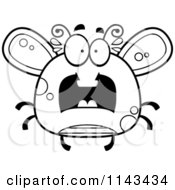 Poster, Art Print Of Black And White Chubby Scared Fly