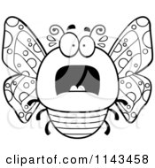 Poster, Art Print Of Black And White Chubby Scared Butterfly