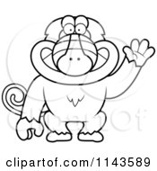 Black And White Friendly Baboon Monkey Waving