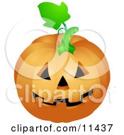Friendly Carved Halloween Jack O Lantern Pumpkin
