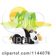 Poster, Art Print Of Cute Panda Resting In Front Of Bamboo