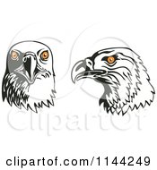 Clipart Of Eagle Heads With Orange Eyes Royalty Free Vector Illustration