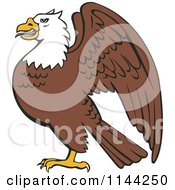 Bald Eagle In Profile
