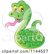 Cute Coiled Green Snake