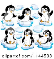 Cartoon Of Cute Little Penguins On Icebergs Royalty Free Vector Clipart