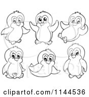 Cartoon Of Cute Black And White Penguins Royalty Free Vector Clipart