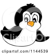 Cute Little Penguin Sliding