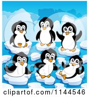 Cute Penguins Playing On Ice Bergs