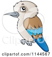 Poster, Art Print Of Cute Aussie Kookaburra Bird