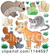 Poster, Art Print Of Cute Aussie Dingo Platupus Wombat And Possum With Plants And Boulders