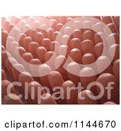 Clipart Of A 3d Texture Of The Small Intestine Villi Royalty Free CGI Illustration