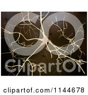 Poster, Art Print Of 3d Brain Neuron Network