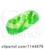 Clipart Of A 3d Green Plant Chloroplast 2 Royalty Free CGI Illustration
