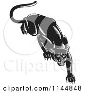Poster, Art Print Of Stalking Black Jaguar