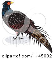 Retro Pheasant Bird