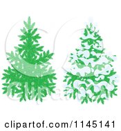 Poster, Art Print Of Evergreen Christmas Trees And One With Snow