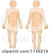 Clipart Of A Human Anatomy Man Front And Back Royalty Free Vector Illustration