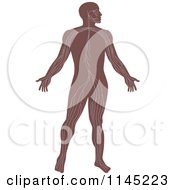 Clipart Of A Human Anatomy Man Showing The Nervous System Royalty Free Vector Illustration by patrimonio