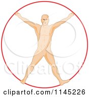 Clipart Of A Human Anatomy Man Spread Eagle Like Vitruvian Man Royalty Free Vector Illustration by patrimonio