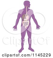 Clipart Of A Purple Human Anatomy Man With The Stomach Royalty Free Vector Illustration by patrimonio